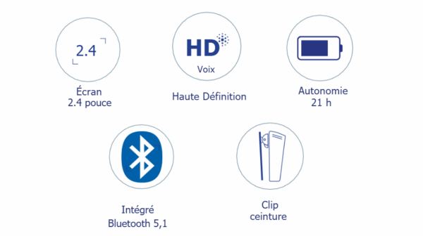 Everlink Fonctions DECT Yealink W78H